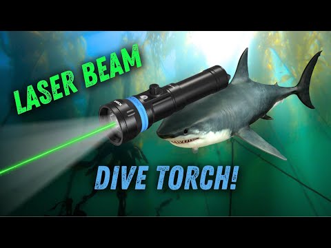 Xtar DL2 1600 Laser Beam Torch Test/Review! | PNW Samson