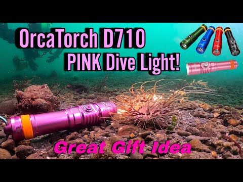 OrcaTorch D710 Diving Light – 3000 Lumens, 308 Metres – PINK | LED ...