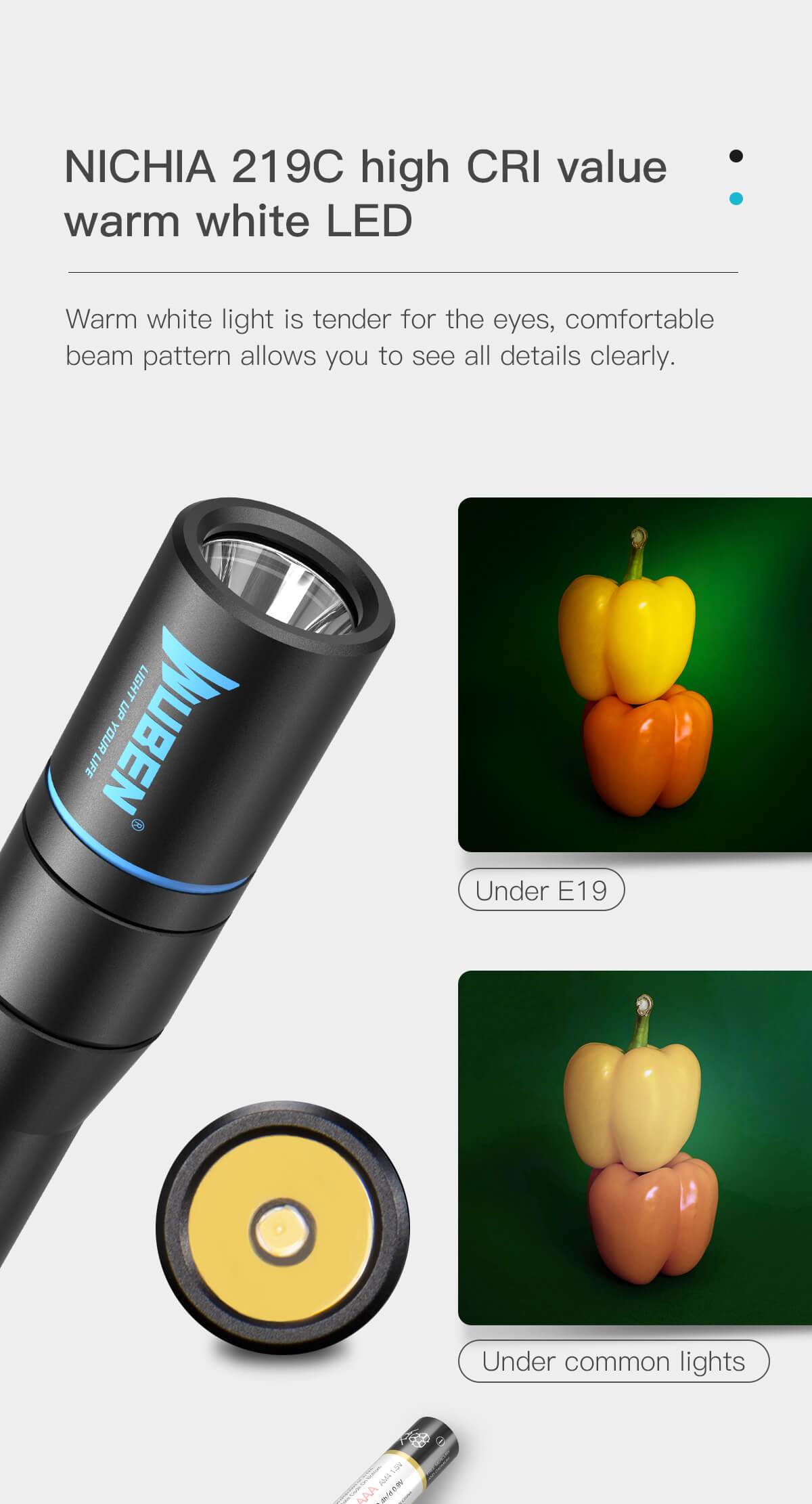 WUBEN E19 LED Penlight 200 Lumen High Value CRI NICHIA LED Pocket Torch with 4 Lighting Modes IP68 Waterproof Inspection Flashlight for Diagnostic Household Use