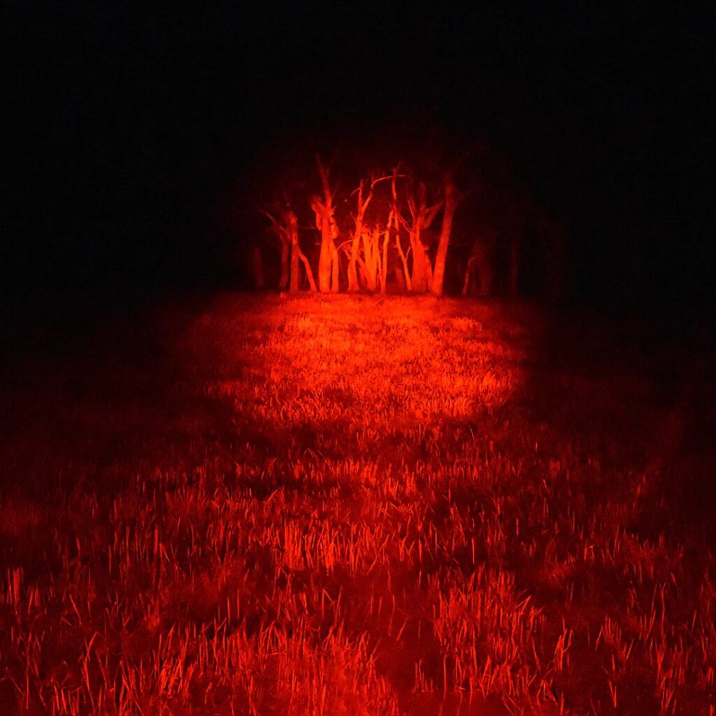 Red Filter