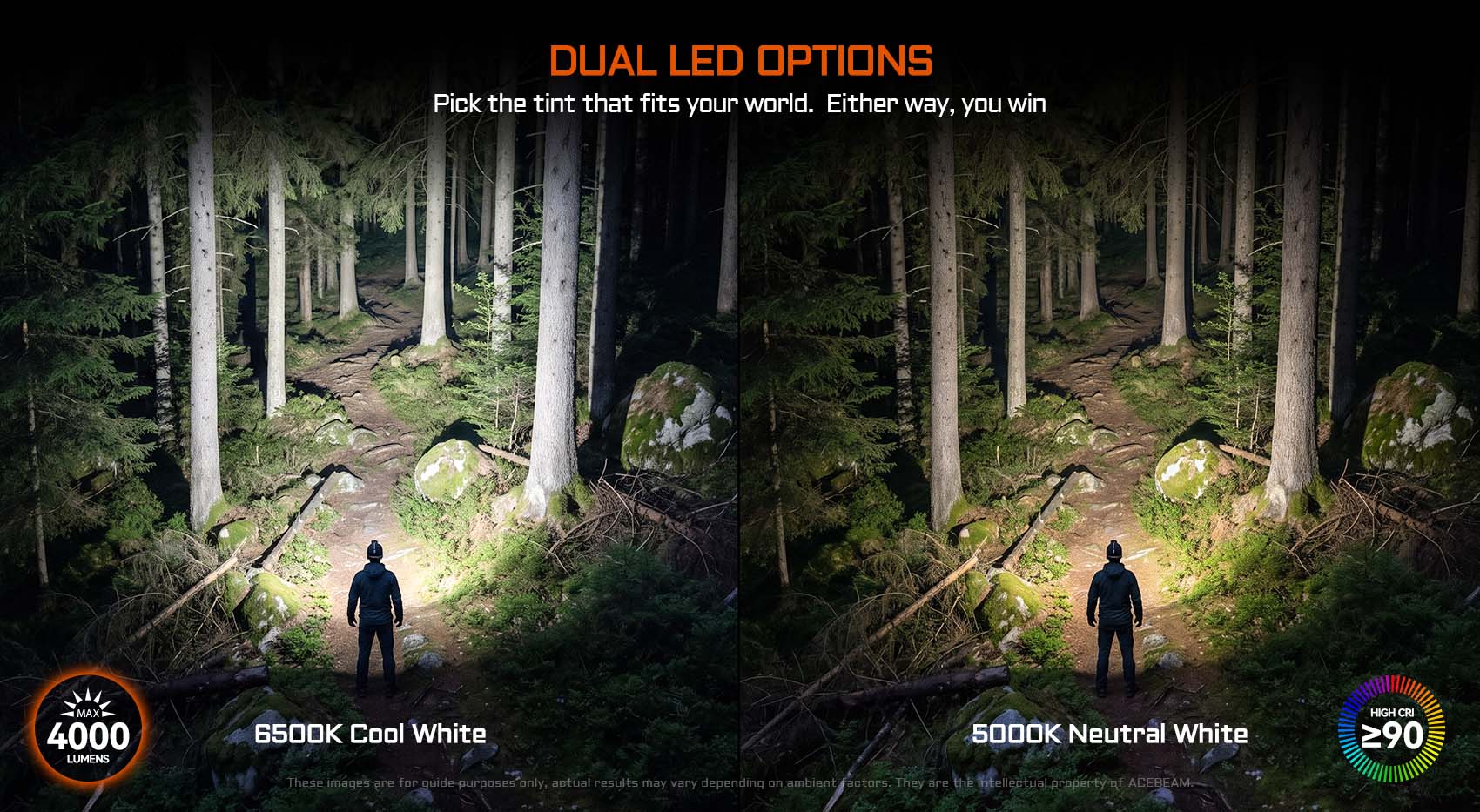 Split-screen nighttime forest path showing two LED options: left 6500K Cool White, right 5000K Neutral White, with a person on the trail.
